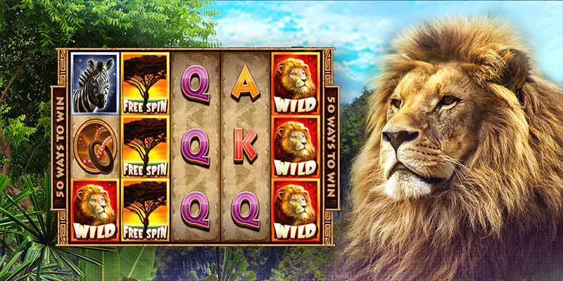 Wild Animals Slot - Sản Phẩm Dễ Chơi, Kiếm Tiền Nhanh 4 Giới thiệu vài nét về trò chơi Slot Wild Animals nổi tiếng